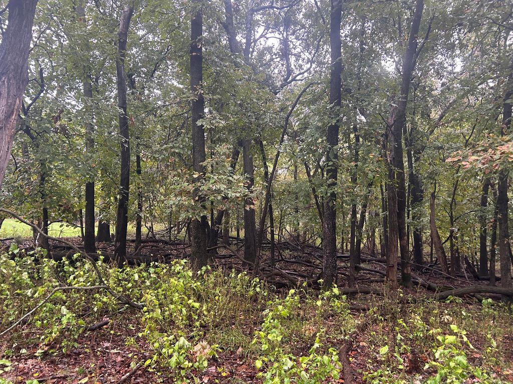 Blue Grouse Drive, Afton, OK 74331