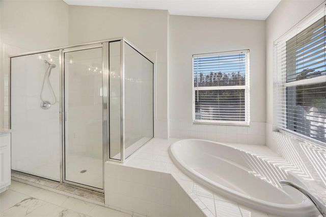 19026 FISHERMANS BEND DRIVE, Lutz, FL 33558