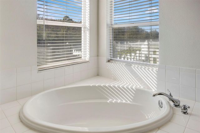 19026 FISHERMANS BEND DRIVE, Lutz, FL 33558