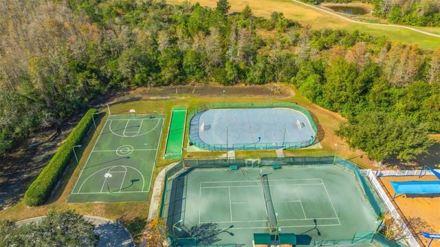 19026 FISHERMANS BEND DRIVE, Lutz, FL 33558