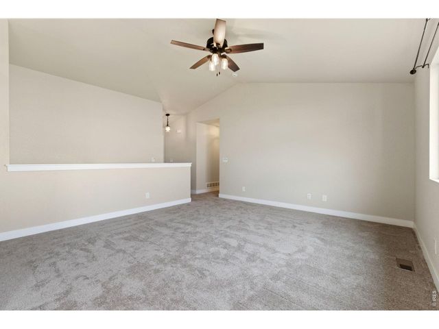 3710 Mount Flora St, Wellington, CO 80549