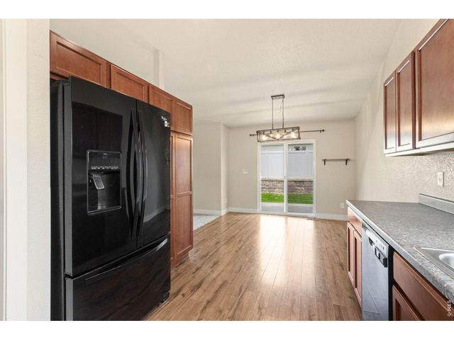 3710 Mount Flora St, Wellington, CO 80549