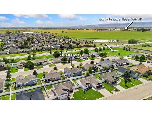 3710 Mount Flora St, Wellington, CO 80549