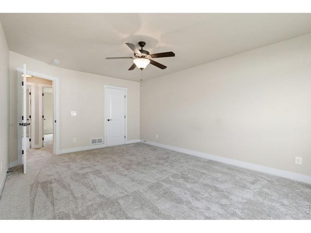 3710 Mount Flora St, Wellington, CO 80549