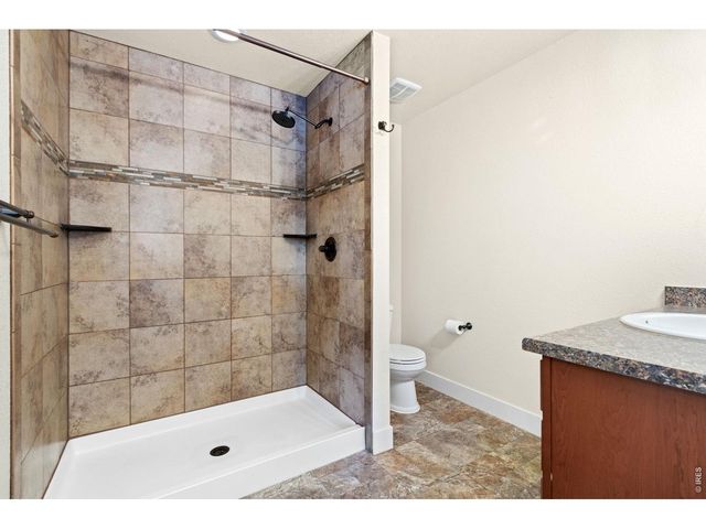 3710 Mount Flora St, Wellington, CO 80549
