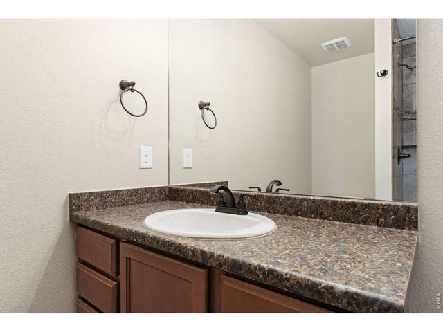 3710 Mount Flora St, Wellington, CO 80549