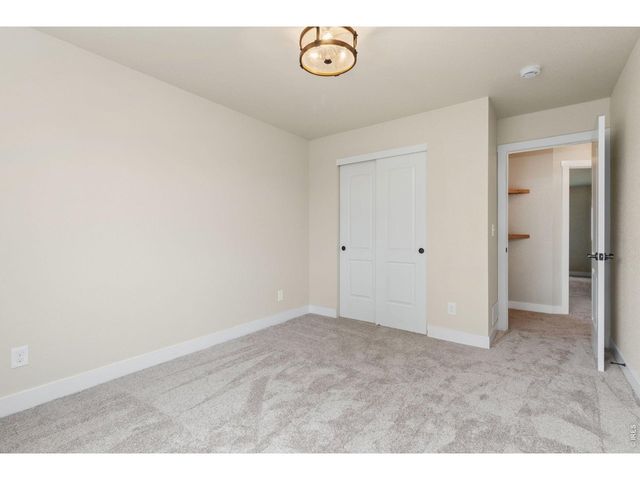 3710 Mount Flora St, Wellington, CO 80549