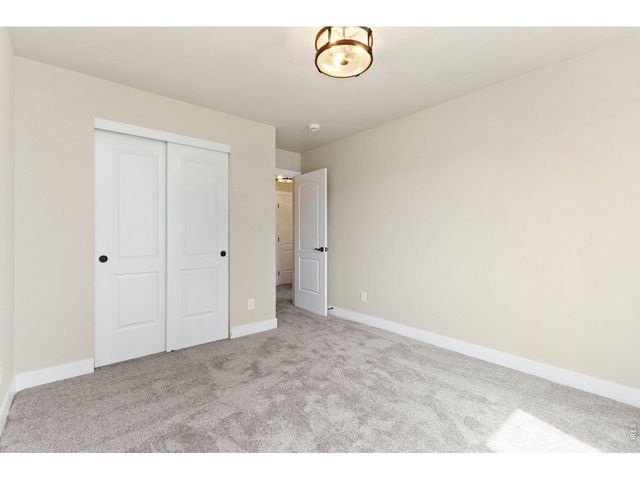 3710 Mount Flora St, Wellington, CO 80549