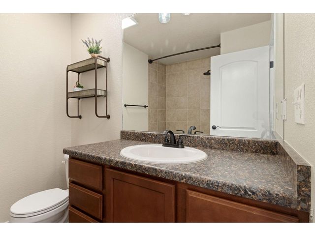 3710 Mount Flora St, Wellington, CO 80549