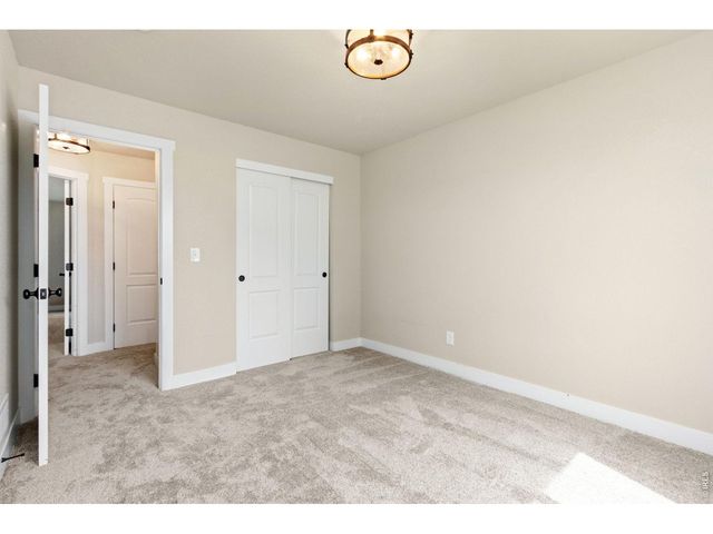 3710 Mount Flora St, Wellington, CO 80549