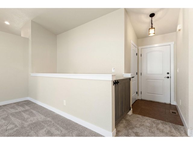 3710 Mount Flora St, Wellington, CO 80549