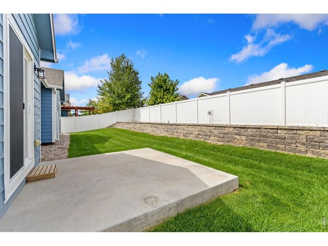 3710 Mount Flora St, Wellington, CO 80549