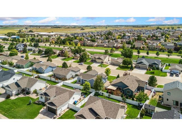 3710 Mount Flora St, Wellington, CO 80549