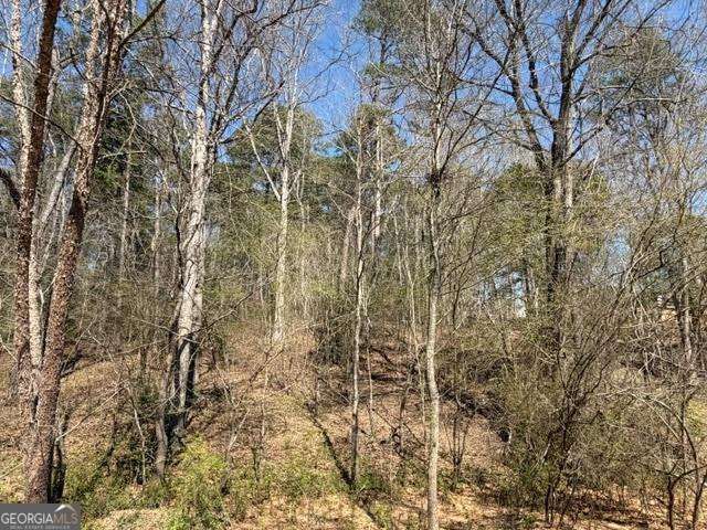 0 Jack Pittman Road, Dacula, GA 30019