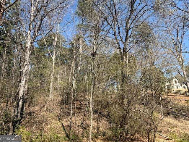 0 Jack Pittman Road, Dacula, GA 30019
