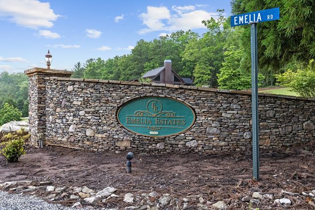 325 Emelia Drive, Morganton, GA 30560