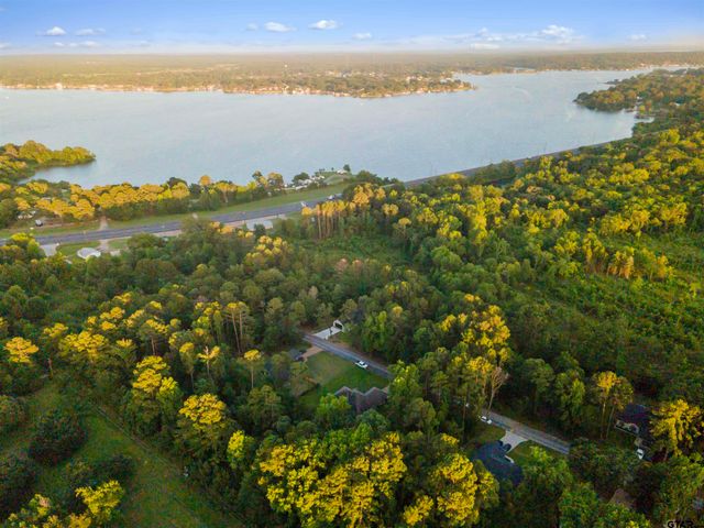 16980 Mary Martin Dr, Flint, TX 75762