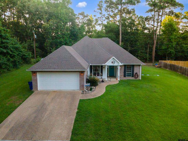 16980 Mary Martin Dr, Flint, TX 75762