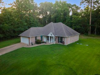 16980 Mary Martin Dr, Flint, TX 75762