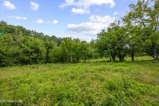 5389 Cocke County Line Rd, Cosby, TN 37722