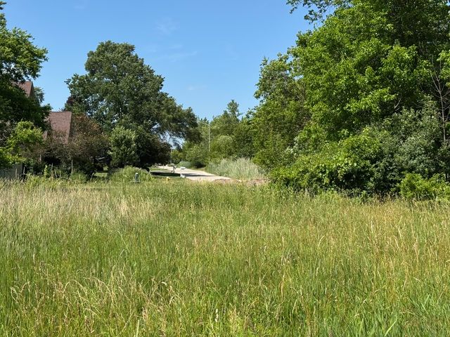 6605 Oak Forest Avenue, Tinley Park, IL 60477
