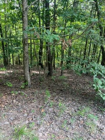 LT 3 Hunter Ridge, Ellijay, GA 30540