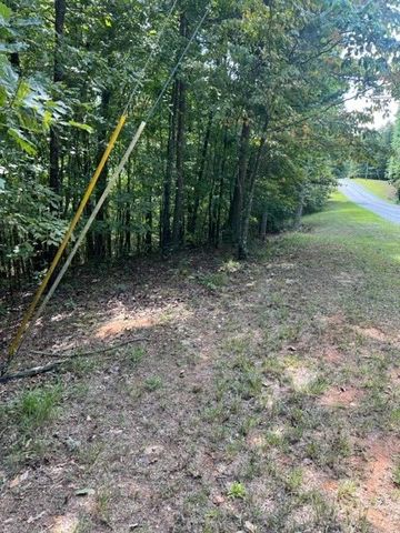LT 3 Hunter Ridge, Ellijay, GA 30540
