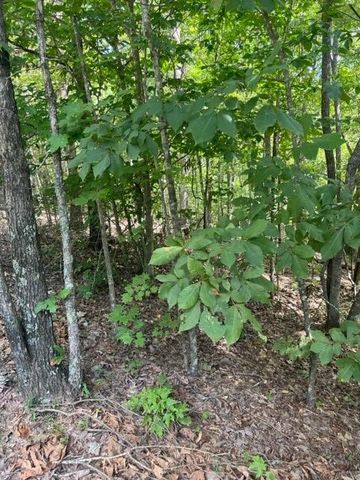 LT 3 Hunter Ridge, Ellijay, GA 30540