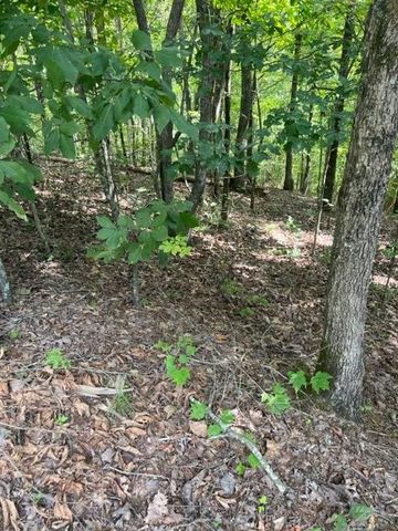 LT 3 Hunter Ridge, Ellijay, GA 30540