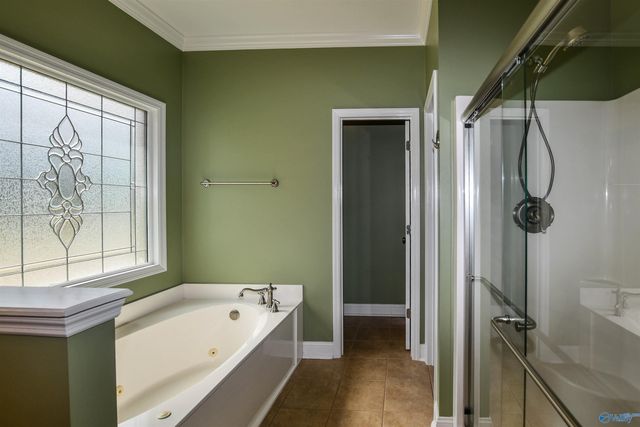 115 Sage Willow Drive, Madison, AL 35756