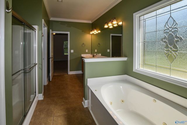 115 Sage Willow Drive, Madison, AL 35756