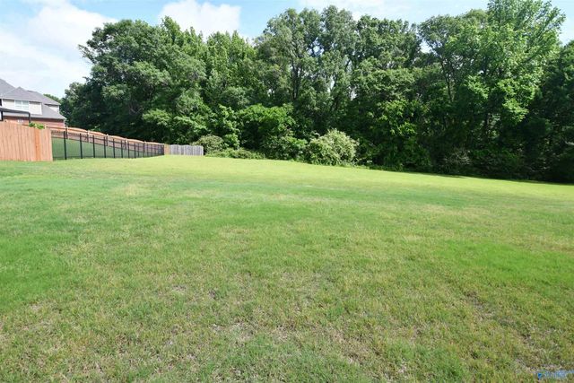 115 Sage Willow Drive, Madison, AL 35756