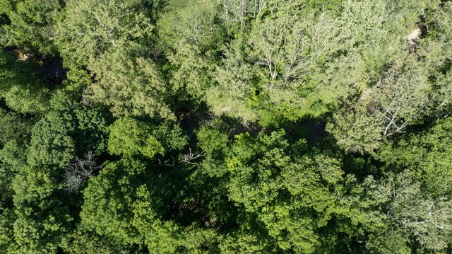173 Brewer Way, Lancaster, KY 40444