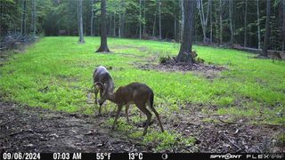 0 Crymes Rd, Meherrin, VA 23954