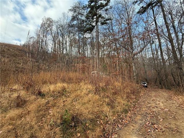 0 Falling Pines Road, Dahlonega, GA 30533
