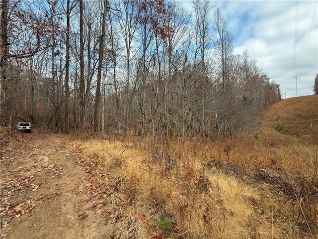 0 Falling Pines Road, Dahlonega, GA 30533