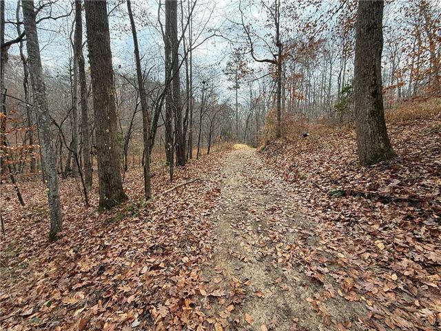 0 Falling Pines Road, Dahlonega, GA 30533