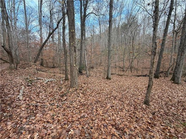 0 Falling Pines Road, Dahlonega, GA 30533