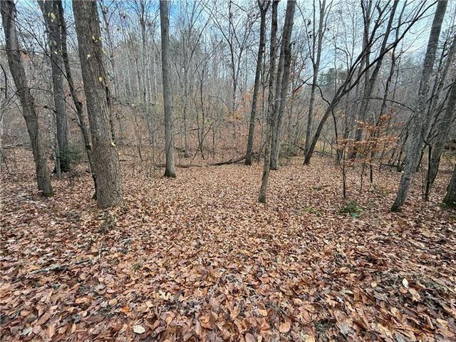 0 Falling Pines Road, Dahlonega, GA 30533
