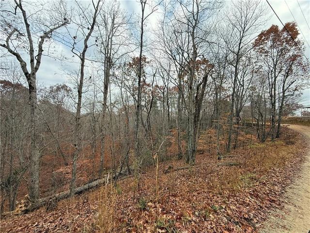 0 Falling Pines Road, Dahlonega, GA 30533