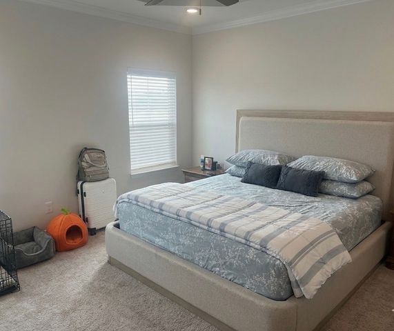 1617 Secretariat Trce, Murfreesboro, TN 37128