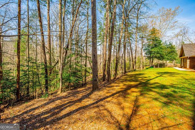 240 Christy Lane, Dahlonega, GA 30533