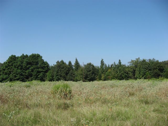 28901 County Road 2100, Kemp, TX 75143