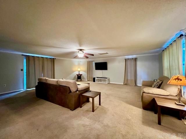 293 matthews Drive, Black Rock, AR 72415