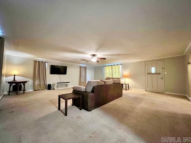 293 matthews Drive, Black Rock, AR 72415