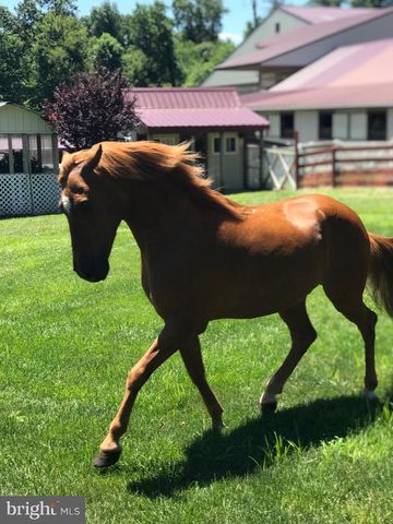310 MAIL ROUTE, Sinking Spring, PA 19608