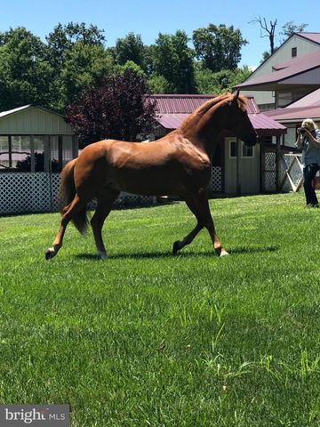 310 MAIL ROUTE, Sinking Spring, PA 19608