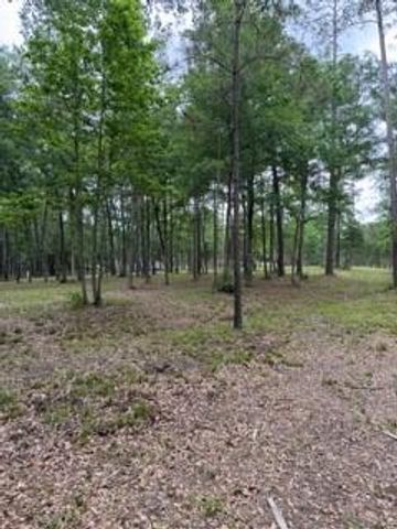 139777 Capital Creek Ranch Boulevard, Willis, TX 77378