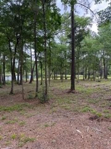 139777 Capital Creek Ranch Boulevard, Willis, TX 77378