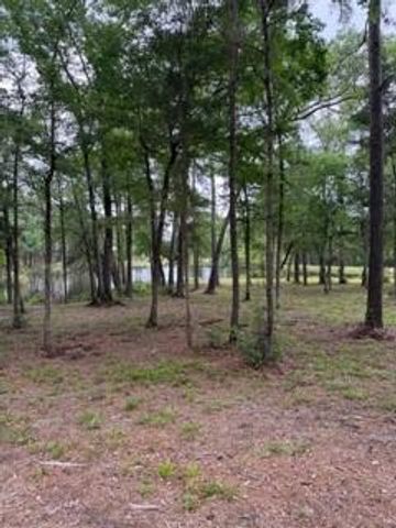 139777 Capital Creek Ranch Boulevard, Willis, TX 77378